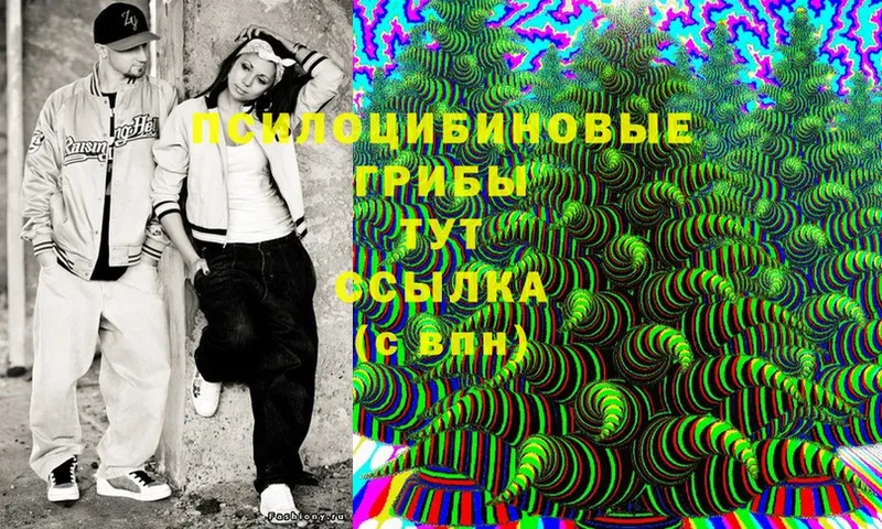 Галлюциногенные грибы MAGIC MUSHROOMS  Луга 